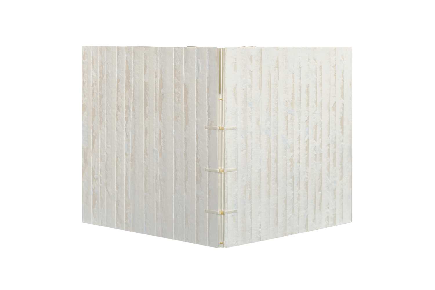 <p>Experimenteller Einband, Sichtbare Heftung auf drei Pergamentbünde, angehängte Deckel aus handgeschöpftem Karton mit eingelegten Büttenpapierstreifen, farbig überspachtelt. Format: 17,1 x 22 cm, 2019, Privatbesitz</p>
